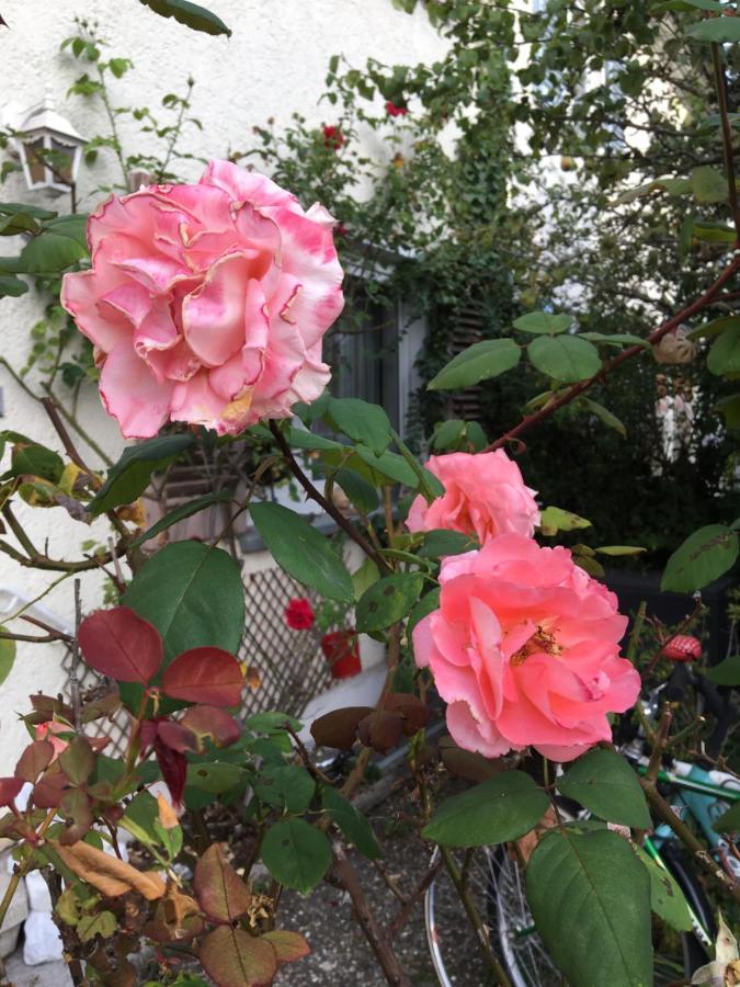 Vintage-Mansarde Uber Wilden Garten Stuttgart Eksteriør billede