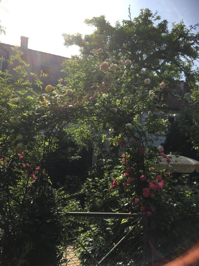Vintage-Mansarde Uber Wilden Garten Stuttgart Eksteriør billede