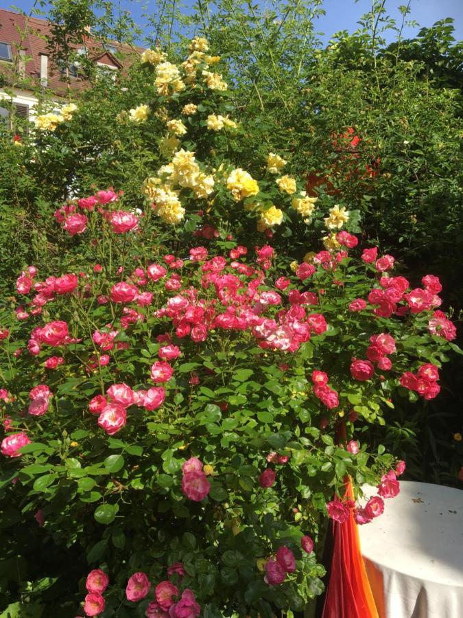 Vintage-Mansarde Uber Wilden Garten Stuttgart Eksteriør billede